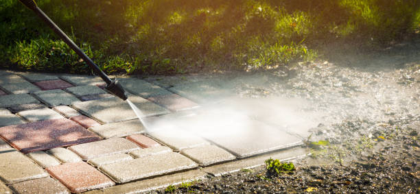 Best Roof Washing  in Sibley, IA